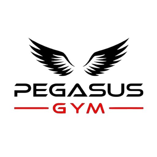 Pegasus Gym